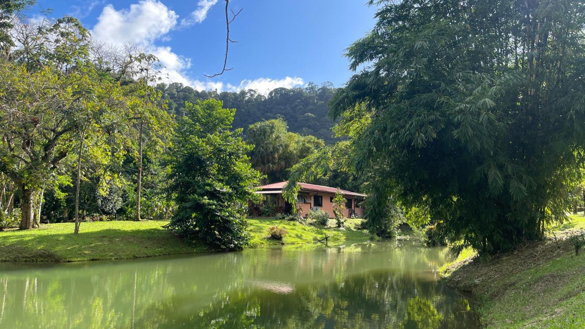 Mei Tai Cacao Lodge Bijagua Exterior foto