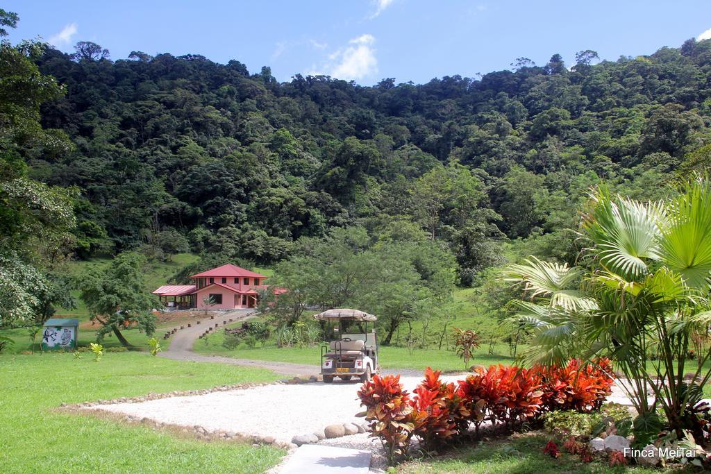 Mei Tai Cacao Lodge Bijagua Exterior foto