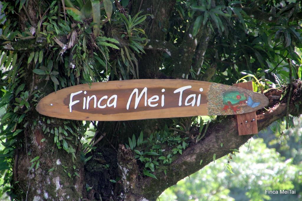 Mei Tai Cacao Lodge Bijagua Exterior foto