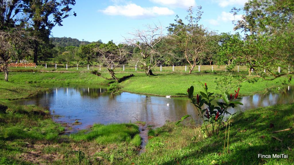 Mei Tai Cacao Lodge Bijagua Exterior foto