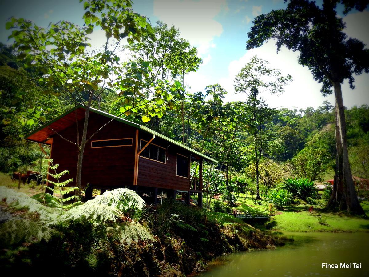 Mei Tai Cacao Lodge Bijagua Exterior foto