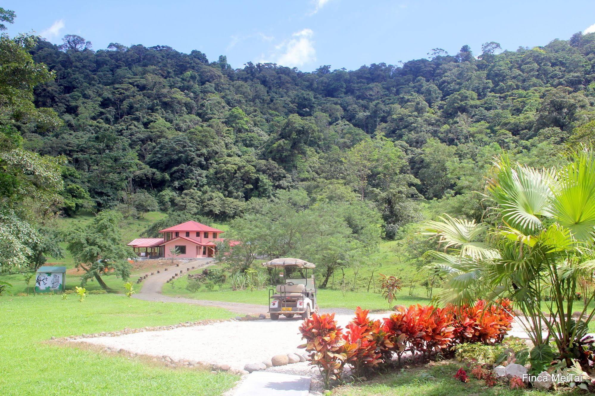 Mei Tai Cacao Lodge Bijagua Exterior foto