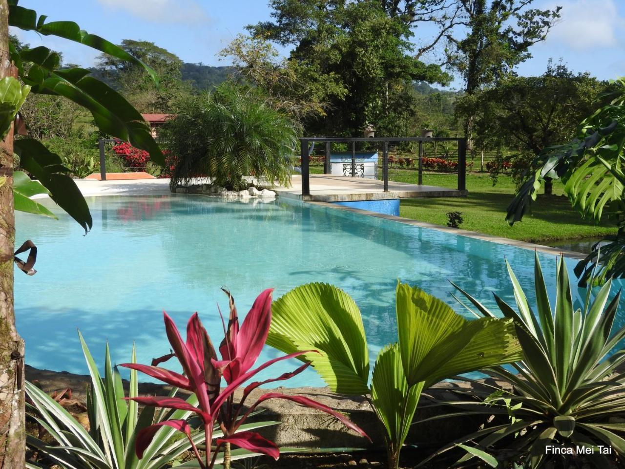 Mei Tai Cacao Lodge Bijagua Exterior foto